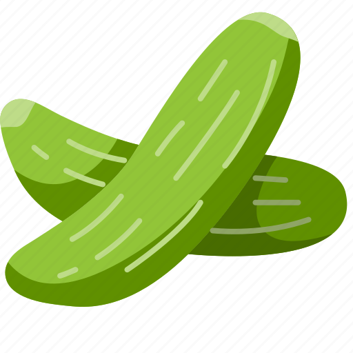 Cucumber, organic, vegan, healthy, food, vegetarian, vegetable icon - Download on Iconfinder
