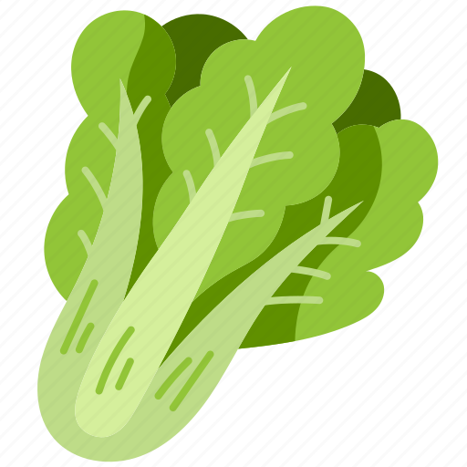 Spinach, vegetables, organic, vegan, healthy, food, vegetarian icon - Download on Iconfinder