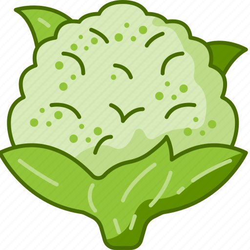 Cauliflower, food, vegetable, healthy, vegan, organic, diet icon - Download on Iconfinder