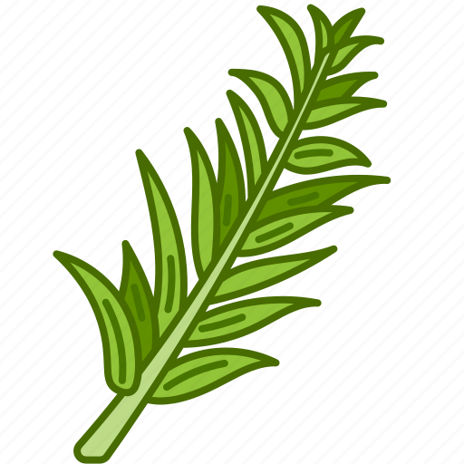 Rosemary, leaves, nature, aroma, organic, aromatic icon - Download on Iconfinder
