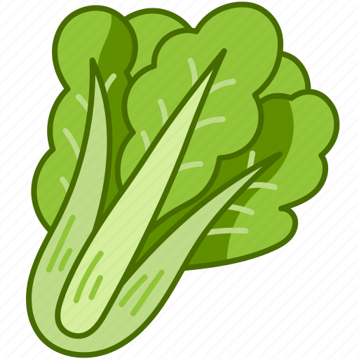 Spinach, vegetables, organic, vegan, healthy, food, vegetarian icon - Download on Iconfinder