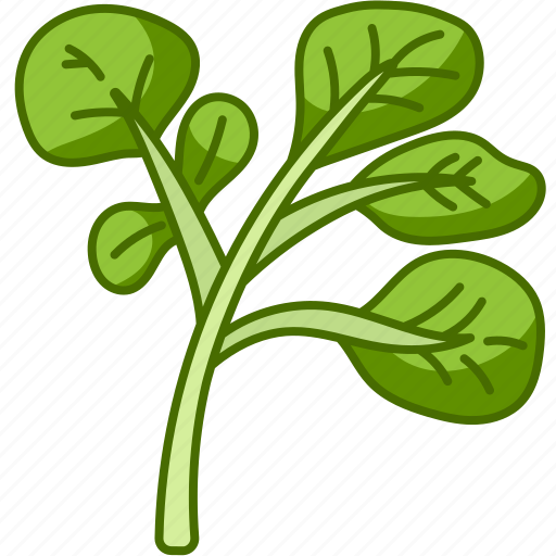 Watercress, veggie, vegetable, leaf, harvest, health, root icon - Download on Iconfinder