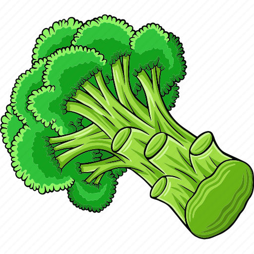 Broccoli, vegetable, fresh, food, natural, organic, health icon - Download on Iconfinder
