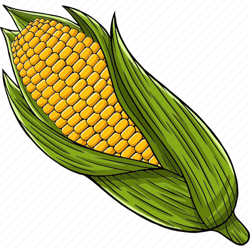 Corn, vegetable, fresh, food, natural, organic, health icon - Download on Iconfinder
