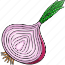 onion, vegetable, fresh, food, natural, organic, health, agriculture, culinary