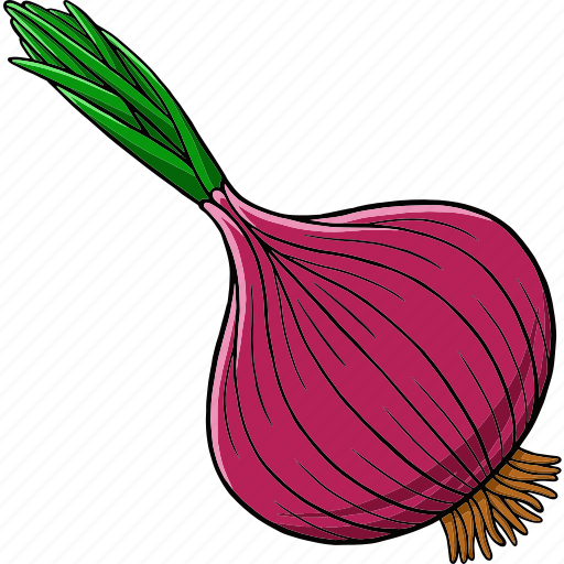 Onion, vegetable, fresh, food, natural, organic, health icon - Download on Iconfinder