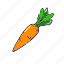 carrot, food, fresh, vegetable, vegetables, healthy, organic, ingredient, plant 