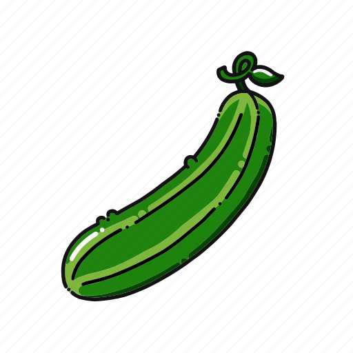 Cucumber, fresh, food, vegetable, healthy, organic, ingredient icon - Download on Iconfinder