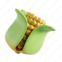 corn, agriculture, organic, maize, natural, grain, fresh, cob, green 