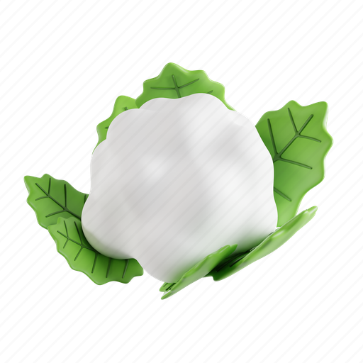 Cauliflower, vegetable, food, vegetarian, fresh, cabbage, white 3D illustration - Download on Iconfinder