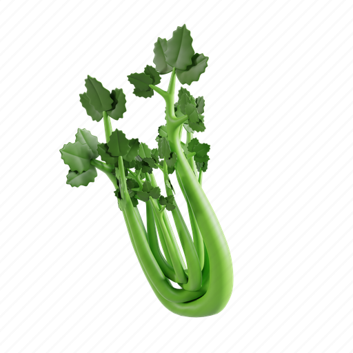 Celery, vegetable, green, food, fresh, leaf, ingredient 3D illustration - Download on Iconfinder