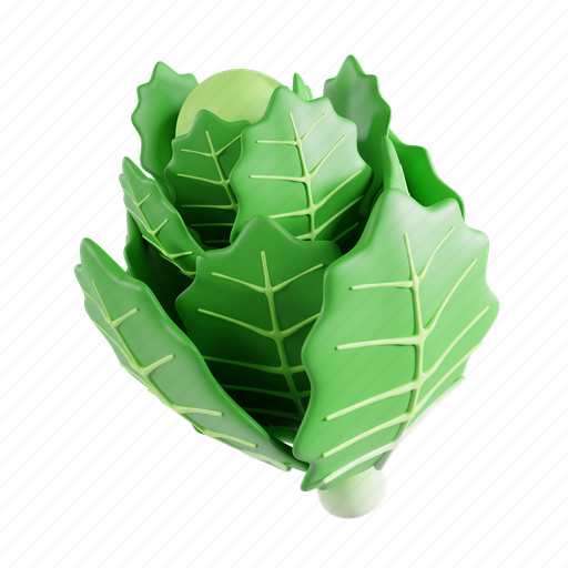 Chinese, cabbage, food, fresh, vegetable, agriculture, ingredient 3D illustration - Download on Iconfinder
