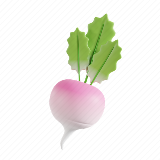 Radish, vegetable, food, healthy, raw, fresh, vegetarian 3D illustration - Download on Iconfinder