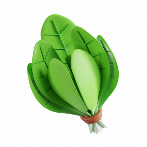 Spinach, food, organic, green, leaf, healthy, fresh 3D illustration - Download on Iconfinder
