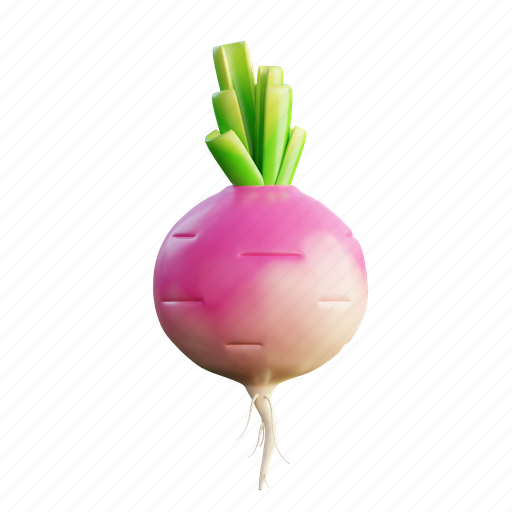 Turnip, vegetables, fresh, healthy, vegetarian, food 3D illustration - Download on Iconfinder