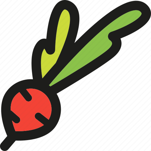 Radish, food, healthy, organic, root, vegetable, vegetables icon - Download on Iconfinder