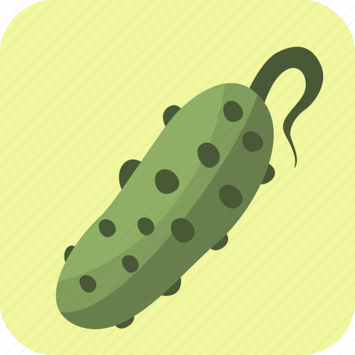 Cucumber, food, vegetable icon - Download on Iconfinder