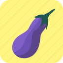 eggplant, food, guinea, melongene, squash, vegetable