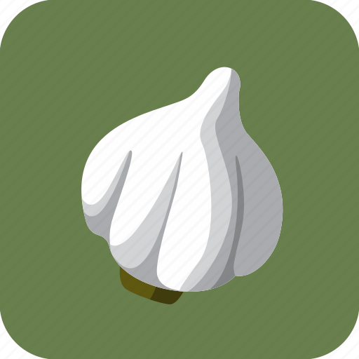 Food, garlic, vegetable icon - Download on Iconfinder