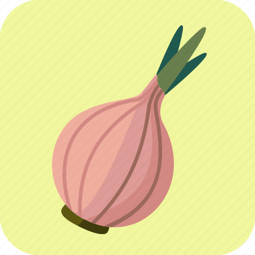 Food, onion, vegetable icon - Download on Iconfinder