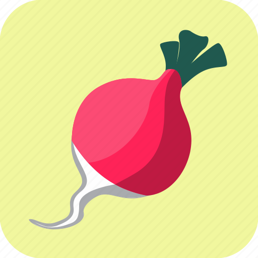 Food, radish, root, vegetable icon - Download on Iconfinder