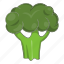 broccoli, cabbage, cartoon, food, fresh, green, organic 