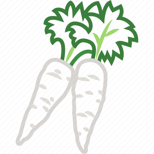 Radish, radish leaf, radish salad, radish soup, vegetables icon, white radish icon - Download on Iconfinder
