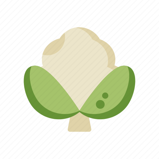 Vegetables, cauliflower, healthy, food icon - Download on Iconfinder