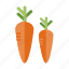 vegetables, carrot, healthy, diet, food 