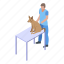 cartoon, dog, isometric, medical, table, veterinary, woman