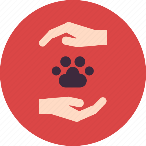 Animal, care, hand, paw, pet, sweet, veterinary icon - Download on Iconfinder