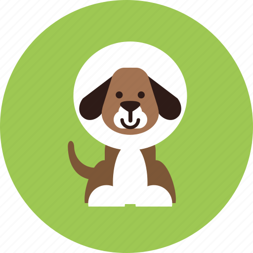 Animal, care, collar, dog, health, healthcare, veterinary icon - Download on Iconfinder