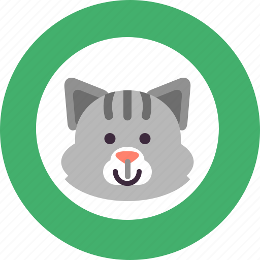 Animal, care, cat, collar, cute, health, veterinary icon - Download on Iconfinder