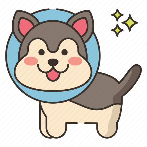 Cone, dog, pet icon - Download on Iconfinder on Iconfinder