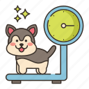 dog, pet, scale, weight