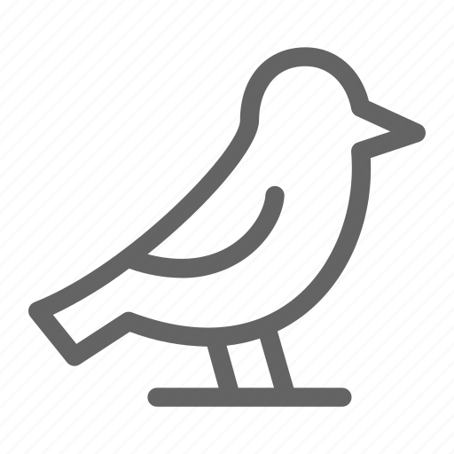 Beak, bird, fly, wing icon - Download on Iconfinder