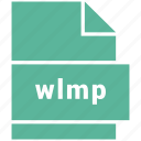 file format, video, video file format, wlmp