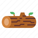 log, natural, tree, wood
