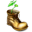 boot, plant, shoe 