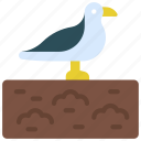 seagull, at, landfill, garbage, dump, tip