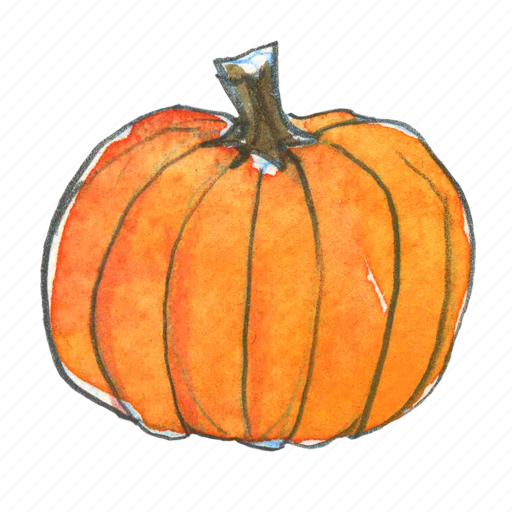 autumn, fall, halloween, harvest, pumpkin, squash, thanksgiving 