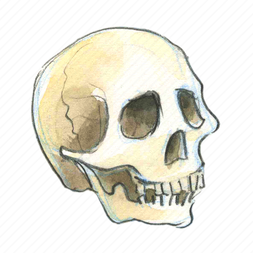 bone, dead, death, face, final, halloween, head, horror, skull 
