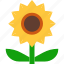 weather, nature, season, summer, sunflower, plant 