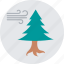 conifer windbreak, fir tree, forest wind, tree wind, winter 