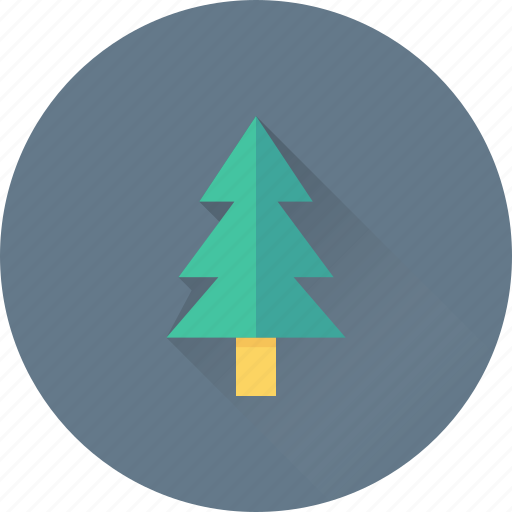 Ecology, fir tree, forest, pine tree, tree icon - Download on Iconfinder