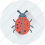 bug, ladybird, malware, threats, virus 