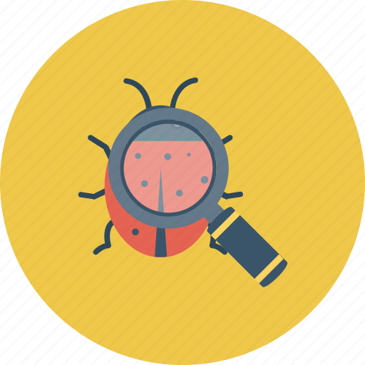 Bug, bug search, bug tracking, find bug, testing, unit testing icon icon - Download on Iconfinder