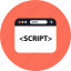 development, script, seo, web 