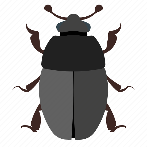 Animal, bug, bugs, insect icon - Download on Iconfinder