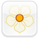 badge, magnolia